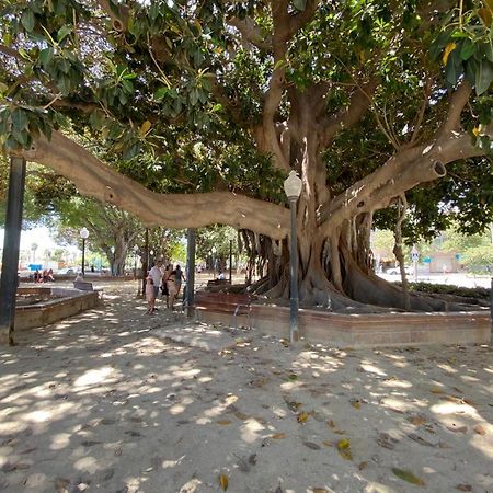 Apartament Tropical Loft Alicante Zewnętrze zdjęcie