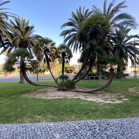 Apartament Tropical Loft Alicante Zewnętrze zdjęcie
