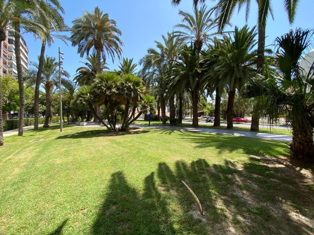 Apartament Tropical Loft Alicante Zewnętrze zdjęcie