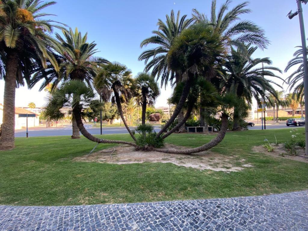 Apartament Tropical Loft Alicante Zewnętrze zdjęcie